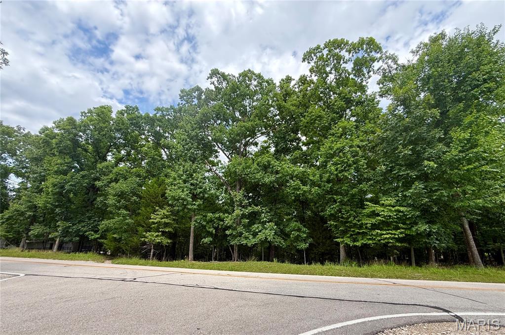 TBD Cornett Branch Road Four Seasons Missouri home for sale listed at $9,900