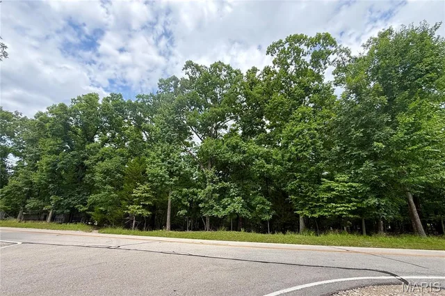 Front exterior — TBD Cornett Branch Road Four Seasons Missouri real estate