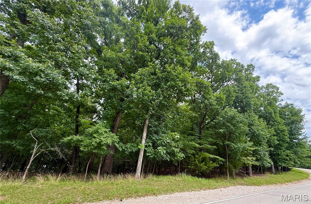Front exterior — TBD Cornett Branch Road Four Seasons Missouri real estate