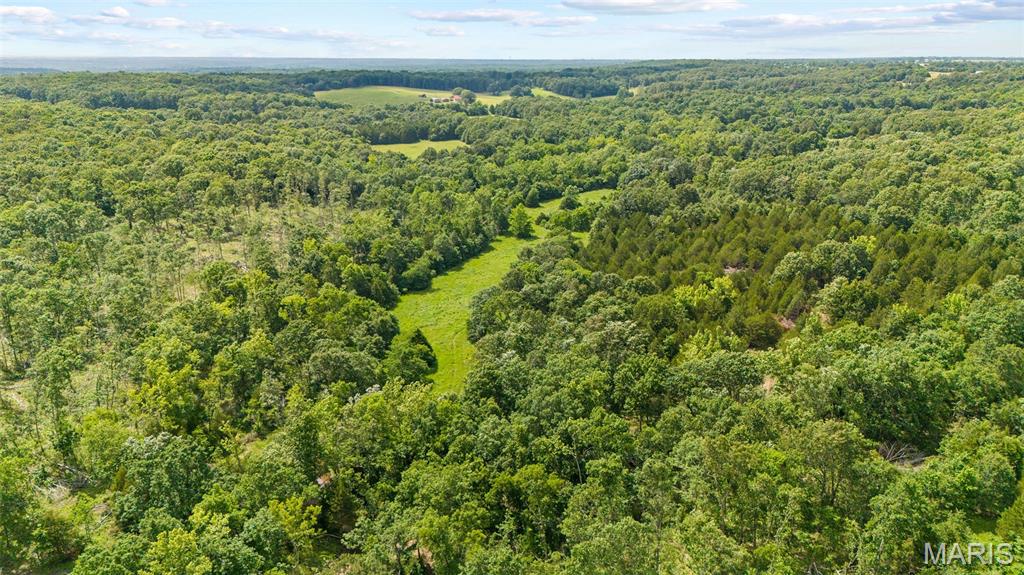 00 Whitetail Ln, Barnette MO real estate