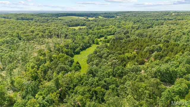 00 Whitetail Ln, Barnette MO real estate