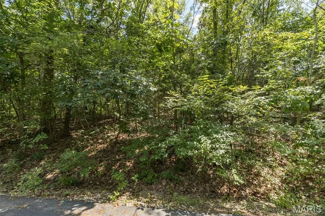 Primary bedroom — Lot 11B Southwoods Drive Festus Missouri real estate