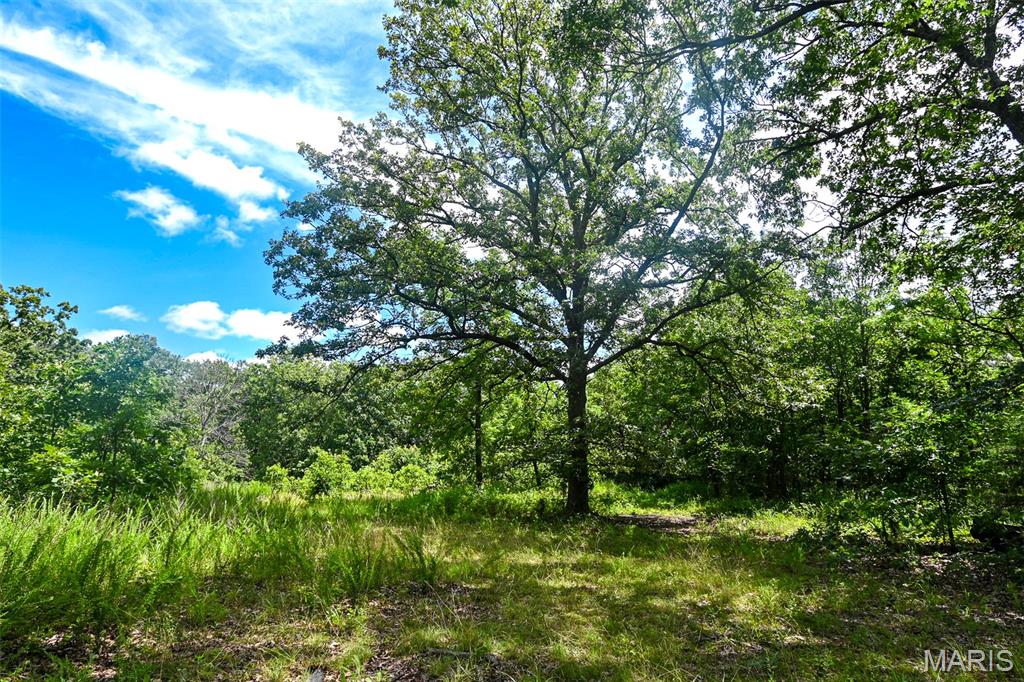 5760 NE 817 Private Road Osceola Missouri home for sale listed at $599,000