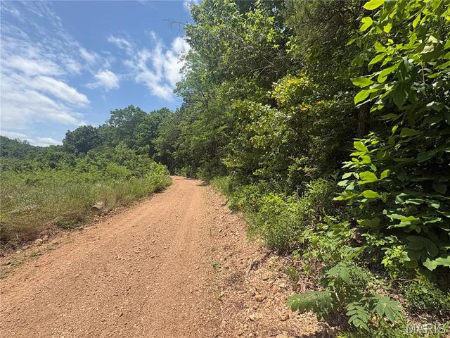 0 County Road 404, Ellington MO
