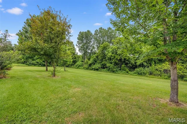 Living room — 70 Hartley Lane Elsberry Missouri real estate