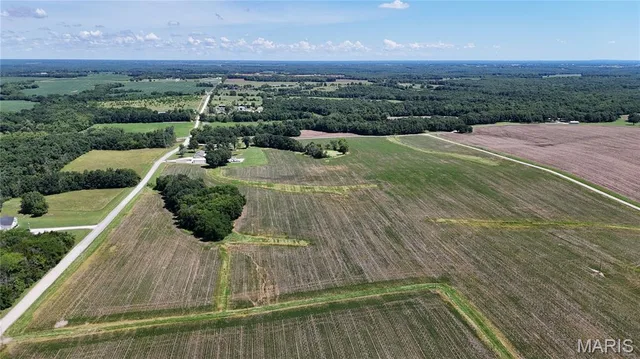 Front exterior — 96.59 Acres Rock Road Bellflower Missouri real estate