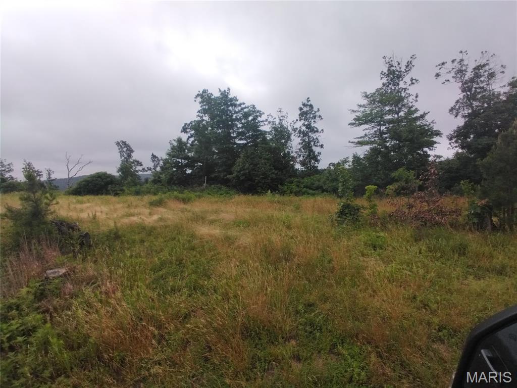 Tract 4 Off Highway O Belleview Missouri home for sale listed at $69,600