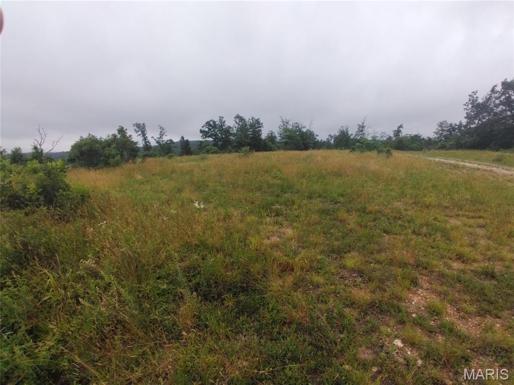 3 Tract 3 Off Highway O, Belleview MO