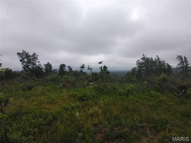 Primary bedroom — 3 Tract 3 Off Highway O Belleview Missouri real estate