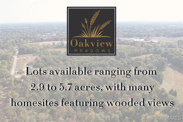 Primary bedroom — 36 Oakview Ct. - Lot 11 Troy Missouri real estate