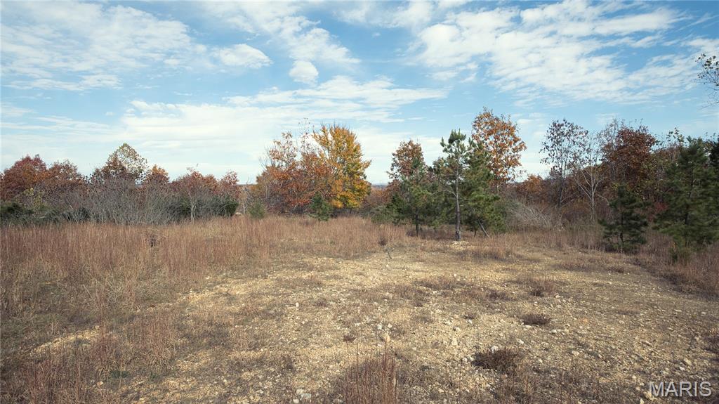 0 Highway 49 Piedmont Missouri home for sale listed at $3,621,200
