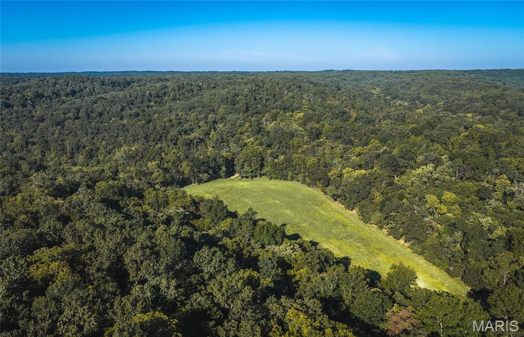 000 Gibbs Cemetery Road Steelville Missouri home for sale listed at $699,900