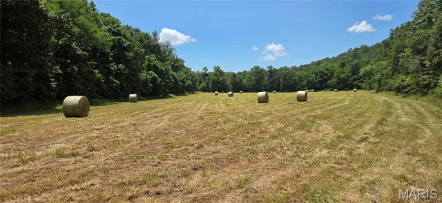 Front exterior — 000 Gibbs Cemetery Road Steelville Missouri real estate