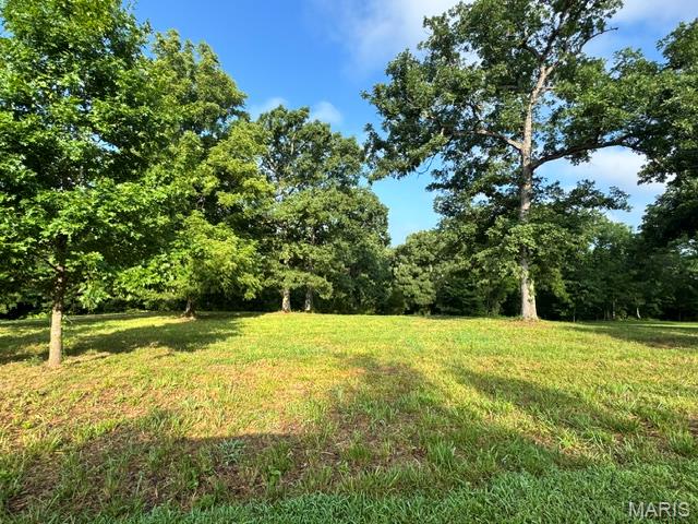 61 Saratoga Springs Drive, Silex MO