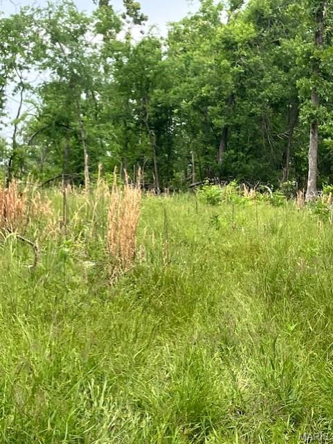 247 Madison CR 410, Fredericktown MO