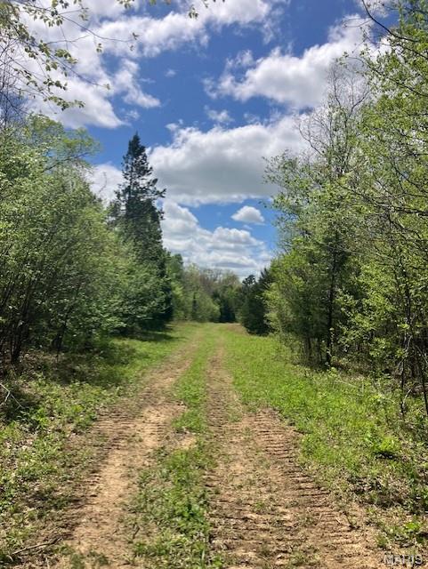 248 Madison CR 410, Fredericktown MO