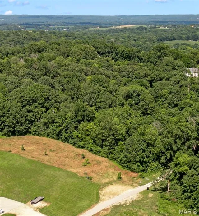 Lot #16 Eastern Star Ct, Washington MO