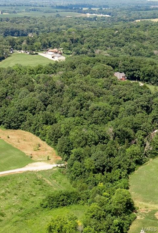 Living room — Lot #16 Eastern Star Ct Washington Missouri real estate