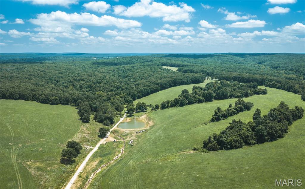171 Czar Tower Road, Steelville MO real estate