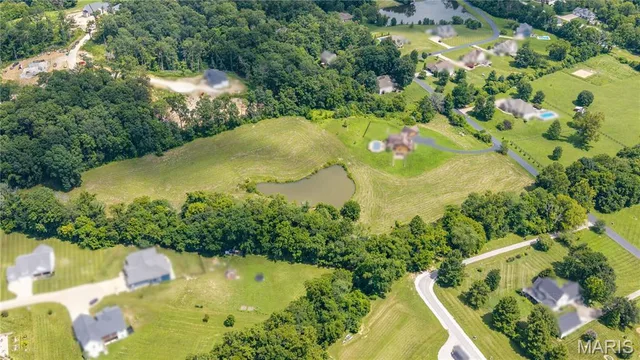 Primary bedroom — 341 Linebacker Run Jackson Missouri real estate