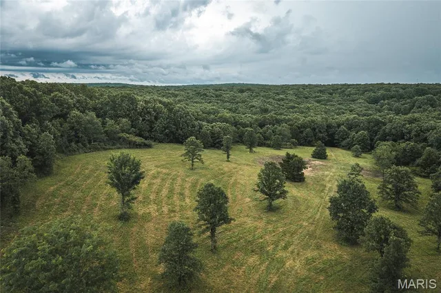 Living room — 0 Lot 2 Highway 19 Salem Missouri real estate