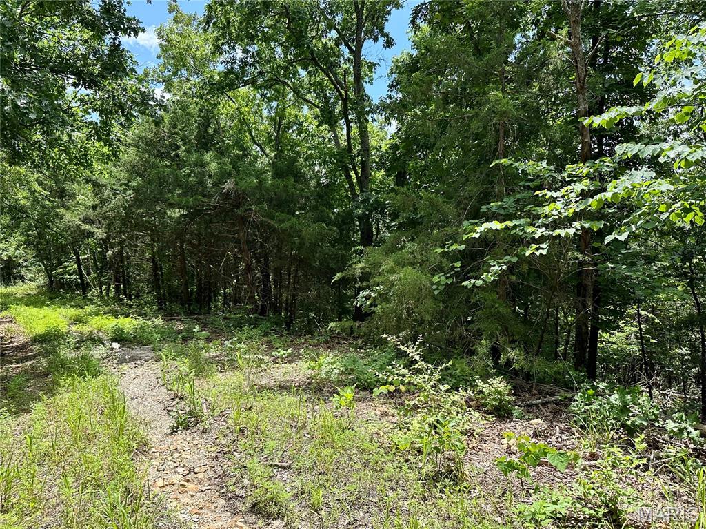 TBD Bluebird Lane Rolla Missouri home for sale listed at $250,000