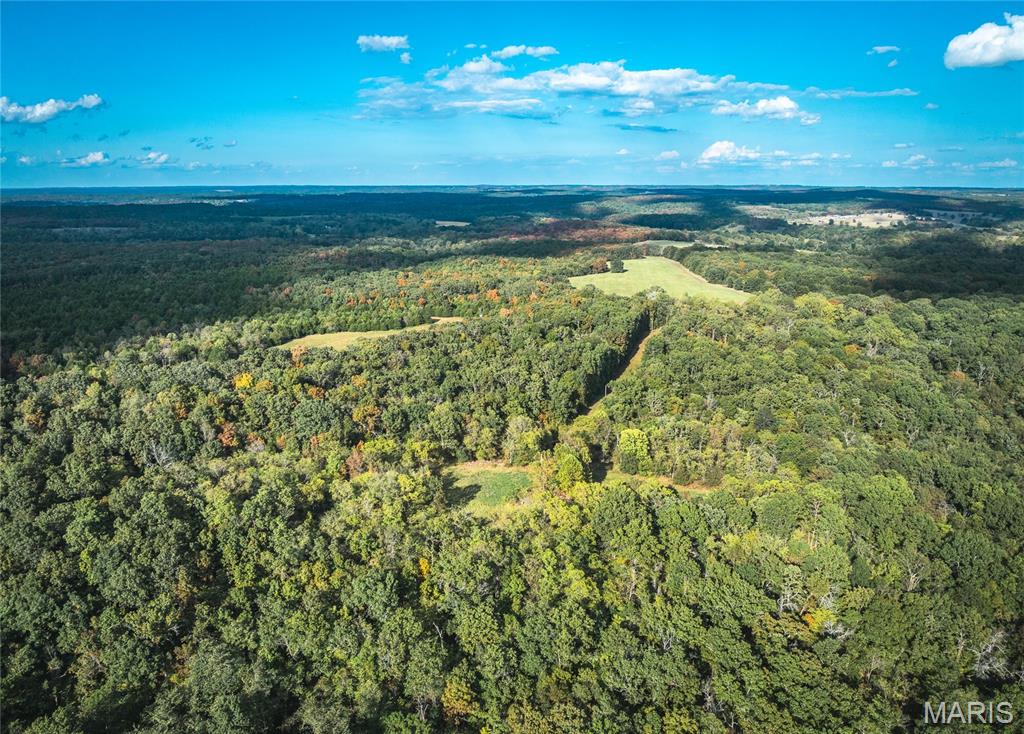 TBD S Davis Hollow Rd-Tract B