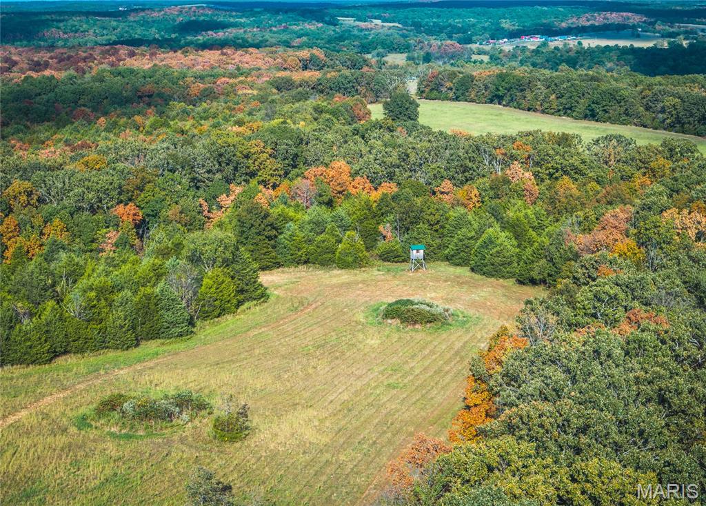 Kitchen — TBD S Davis Hollow Rd-Tract B Richland Missouri real estate