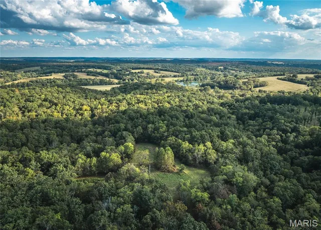 Primary bedroom — TBD S Davis Hollow Rd-Tract B Richland Missouri real estate