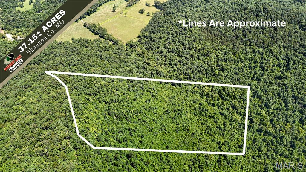 TBD Antler Ridge Subdivision, Eminence MO
