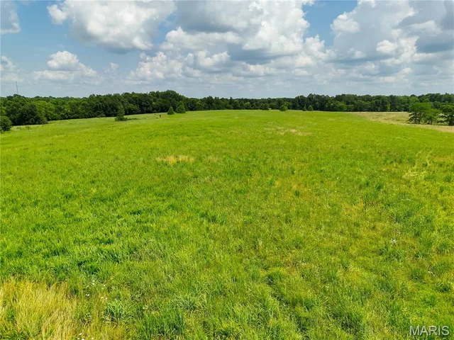 Kitchen — 0 County Road 197 - Tract A (52.5+/- Acres) Williamsburg Missouri real estate