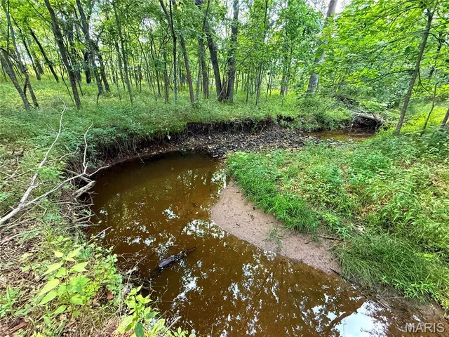 Primary bedroom — 0 County Road 197 - Tract A (52.5+/- Acres) Williamsburg Missouri real estate
