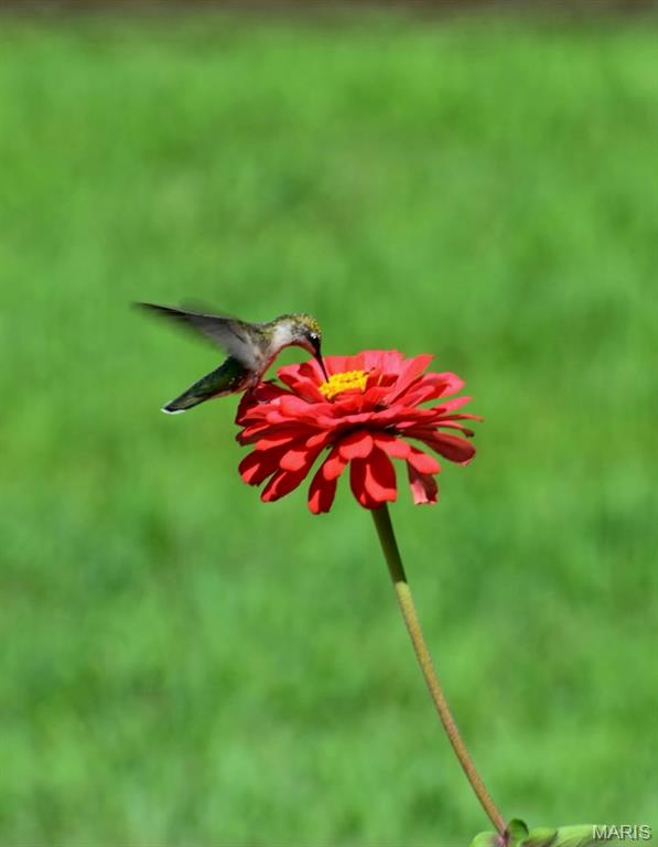 Photo 49