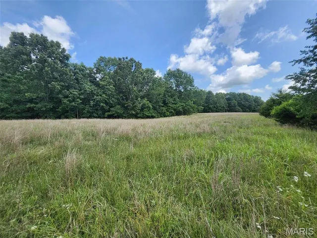 Front exterior — 00 M- Blackberry Drive Summersville Missouri real estate