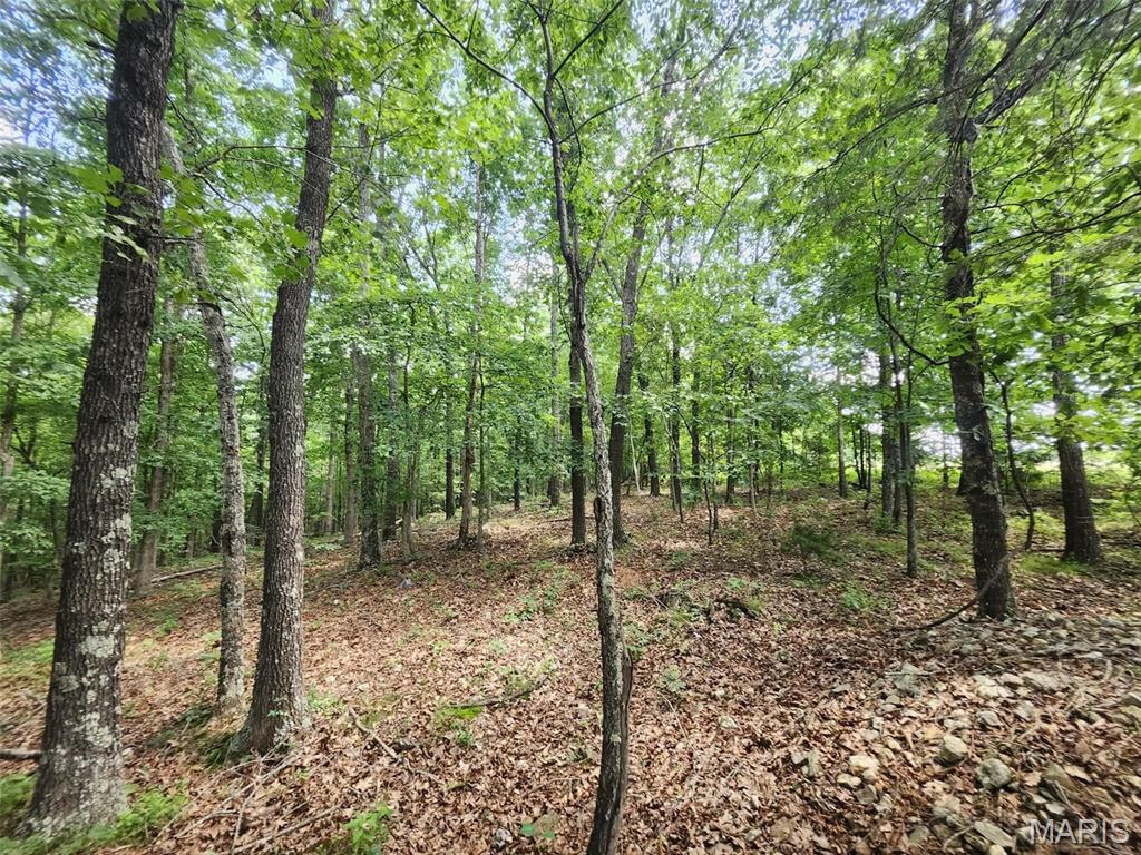 Living room — 00 M- Blackberry Drive Summersville Missouri real estate