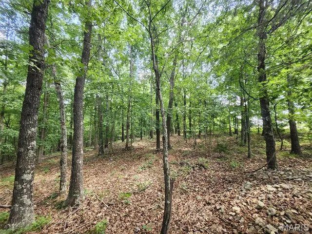 Living room — 00 M- Blackberry Drive Summersville Missouri real estate