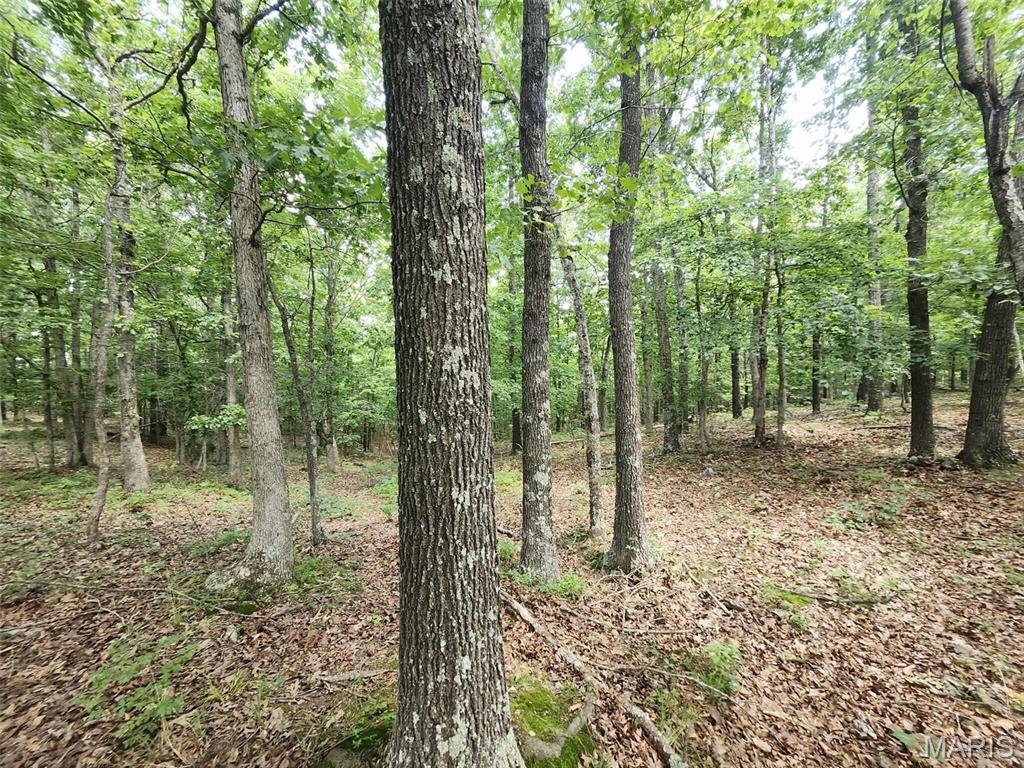 Kitchen — 00 M- Blackberry Drive Summersville Missouri real estate
