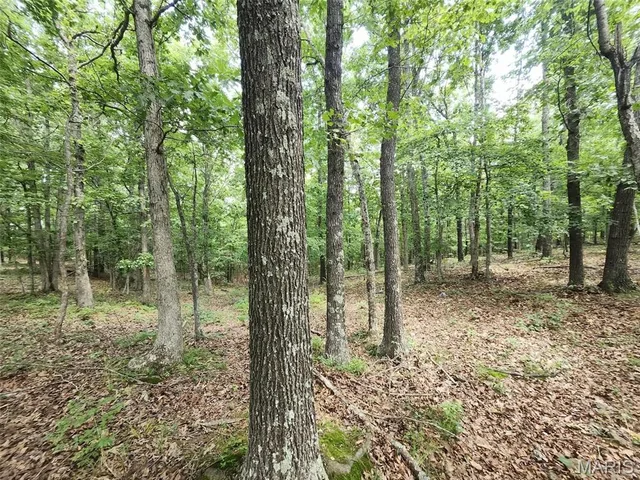 Kitchen — 00 M- Blackberry Drive Summersville Missouri real estate