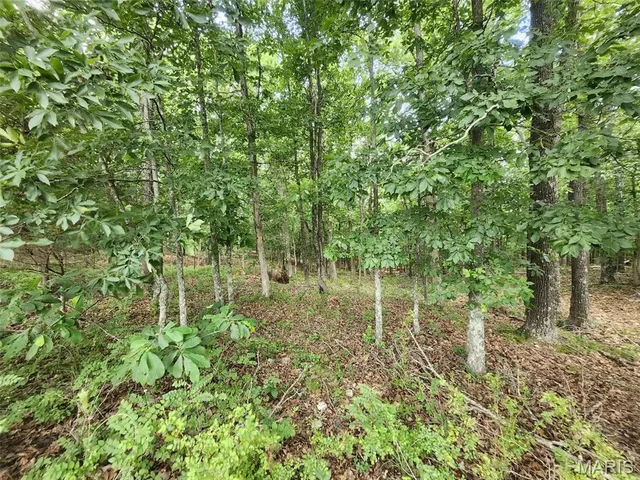 Primary bedroom — 00 M- Blackberry Drive Summersville Missouri real estate