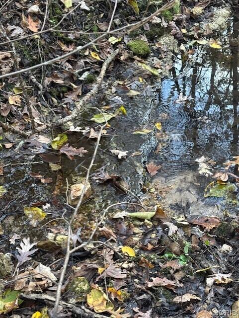 0 M- Country Road 272 Vanzant Missouri home for sale listed at $200,000
