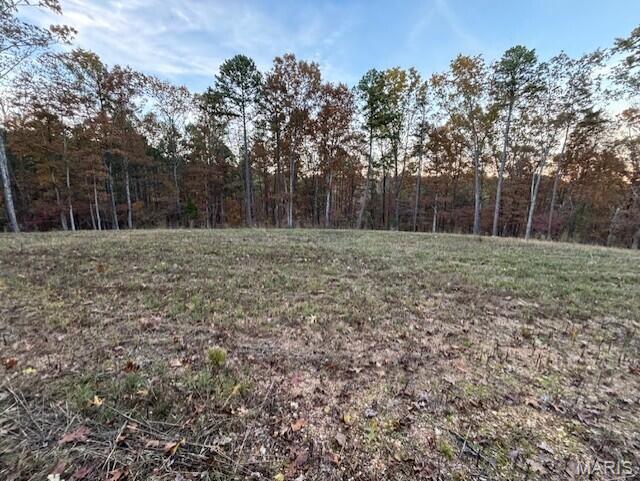 Primary bedroom — 0 M- Country Road 272 Vanzant Missouri real estate