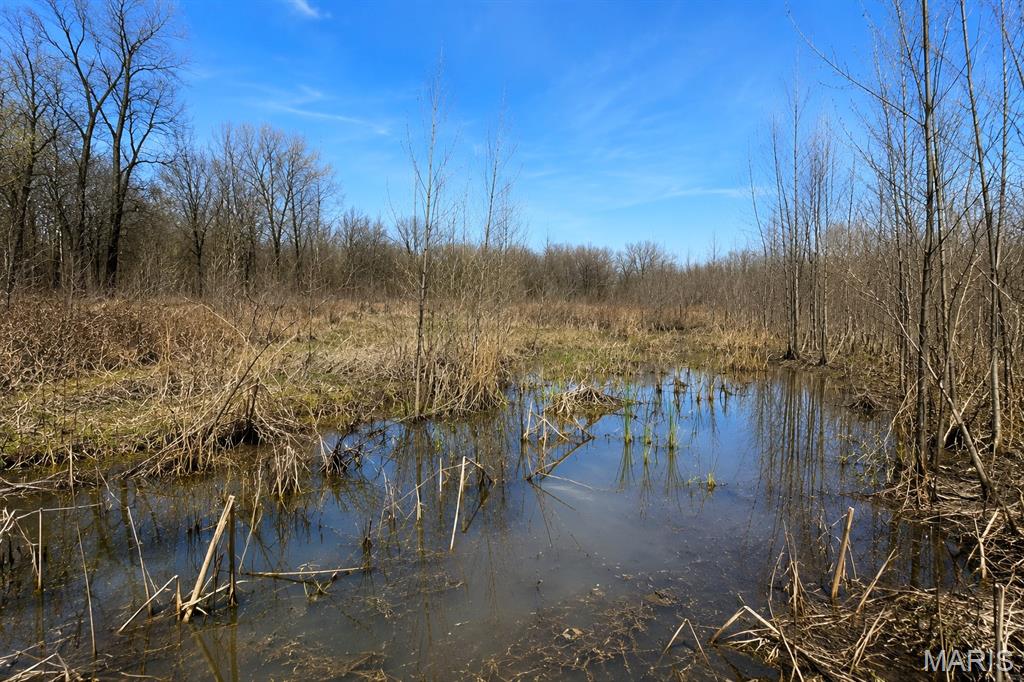 0 State Highway 53, Campbell MO real estate