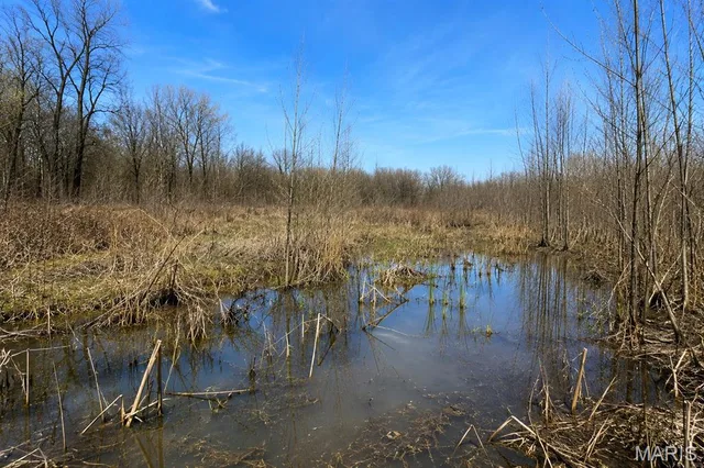 0 State Highway 53, Campbell MO real estate