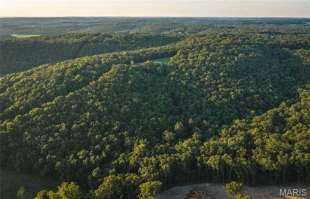 Living room — 4.9 acres County Road 2030 Rolla Missouri real estate