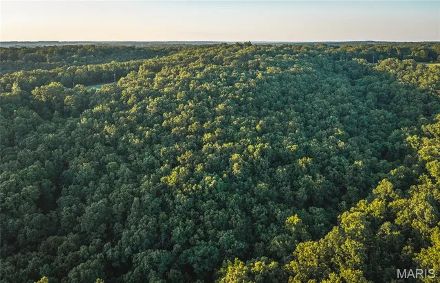 Primary bedroom — 4.9 acres County Road 2030 Rolla Missouri real estate