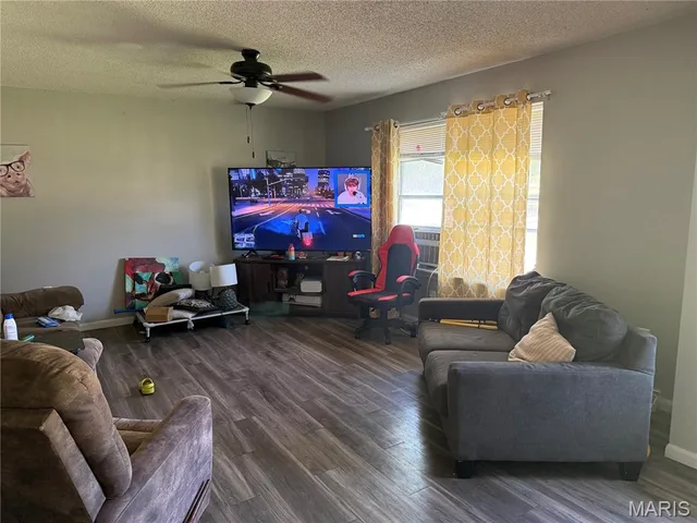 Living room — 602 N Louise Avenue St James Missouri real estate