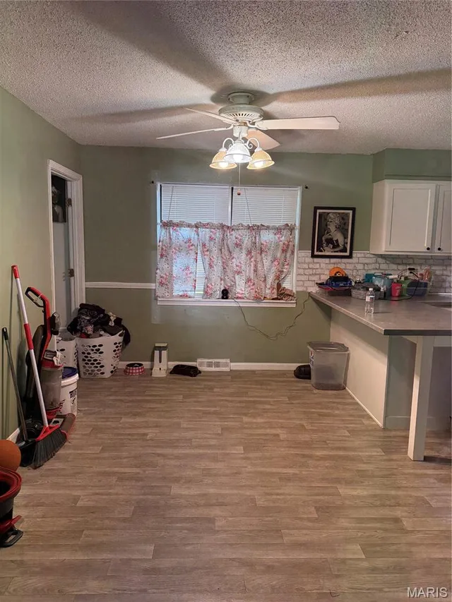 Kitchen — 602 N Louise Avenue St James Missouri real estate