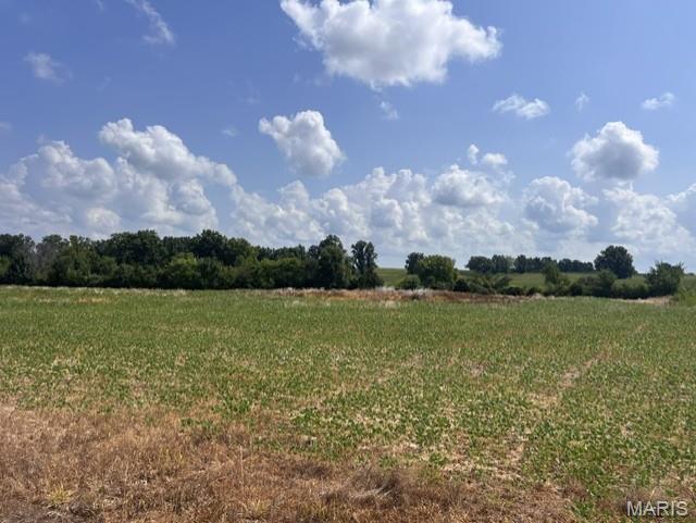 Front exterior — 12.41 Acres Palo Pinto Drive O'Fallon Missouri real estate