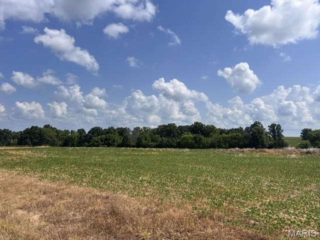 Living room — 12.41 Acres Palo Pinto Drive O'Fallon Missouri real estate