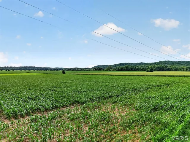 Kitchen — 47.23 AC Highway J New Florence Missouri real estate
